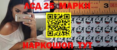гидра Рязань