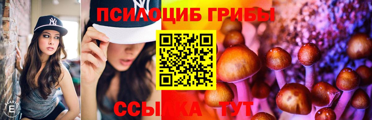 Сосновый Бор  Галлюциногенные грибы Psilocybe  Вход с VPN  Псилоцибиновые грибы Psilocybine cubensis 