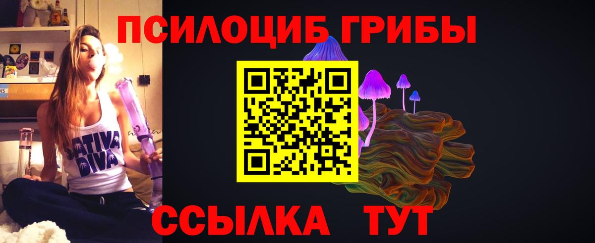 Псилоцибиновые грибы мицелий Сосновый Бор